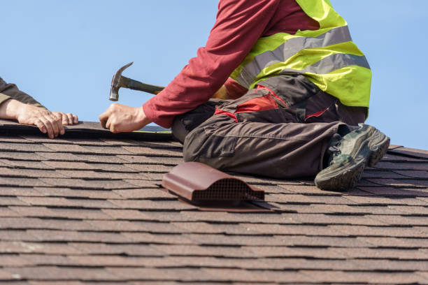 Best Roof Gutter Cleaning  in New Brighton, MN
