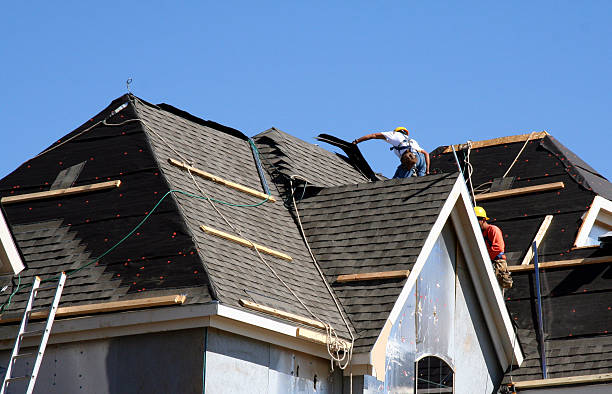 Best Roof Leak Repair  in New Brighton, MN