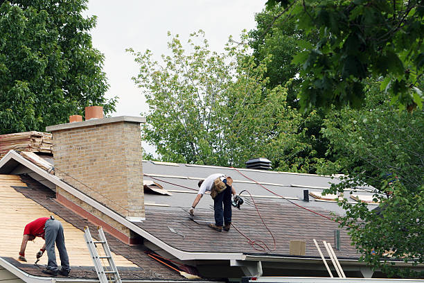 Best Gutter Installation and Roofing  in New Brighton, MN