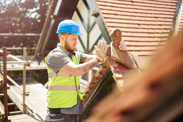 Roof Gutter Cleaning in New Brighton, MN