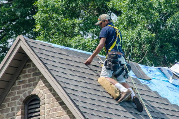 Best New Roof Installation  in New Brighton, MN